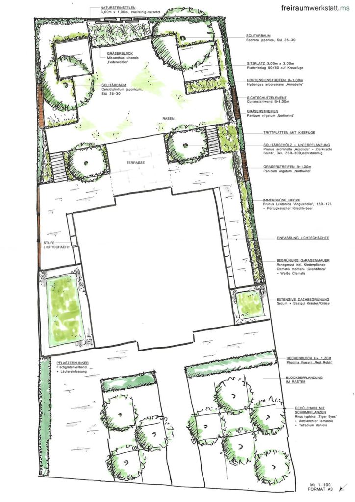 211014_Vorentwurf_Bock-Lageplan_1-100