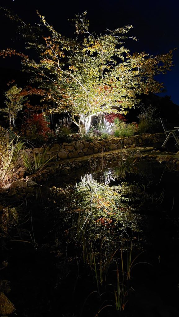 Schwimmteichgarten5