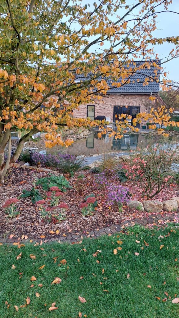 Schwimmteichgarten6